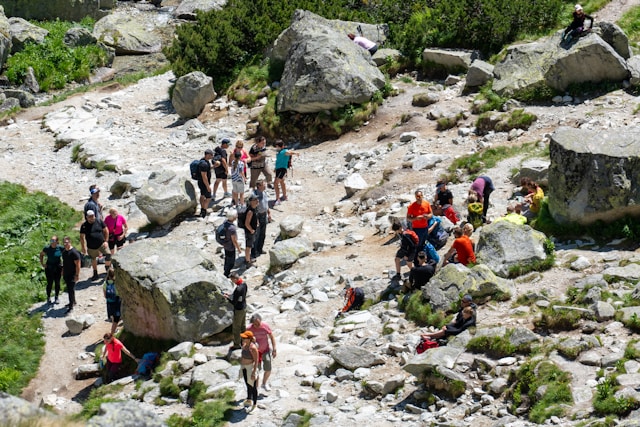 Travexantilo planovi